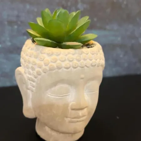 Hesmir's Nest Oda ve Kahvaltı 3*