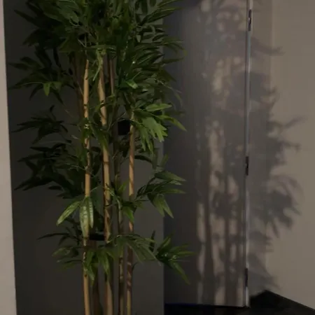 Oda ve Kahvaltı Hesmir's Nest Tiran