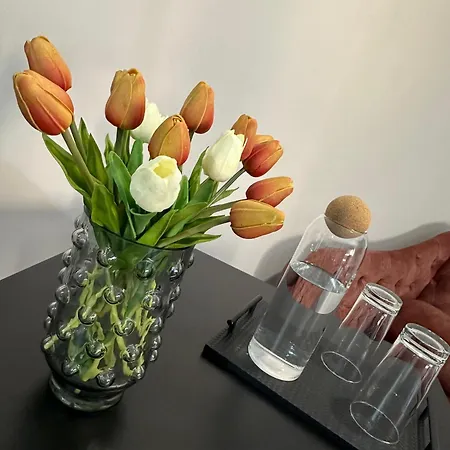 Frühstückspension Hesmir's Nest Tirana