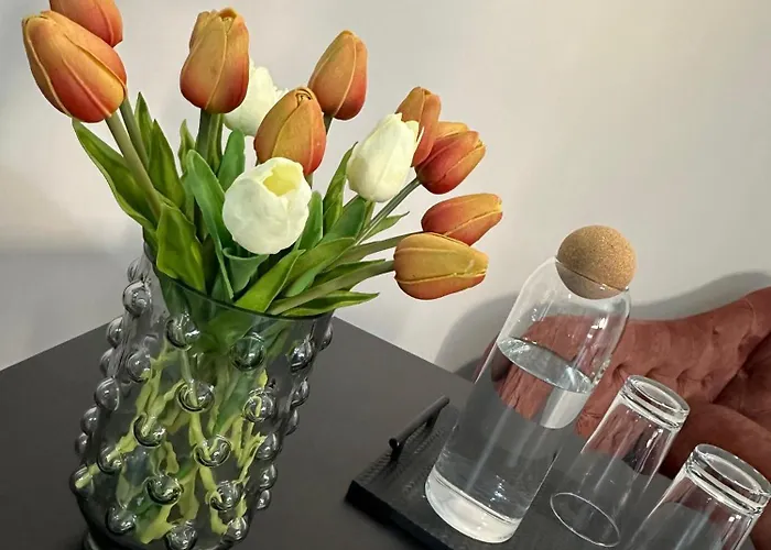 Frühstückspension Hesmir's Nest Tirana